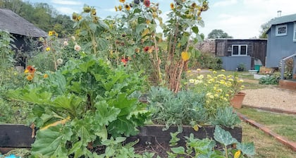 1 bedroom accommodation in Petworth, West Sussex