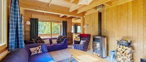 Televisión, chimenea y reproductor de DVD