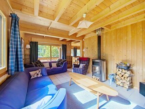 تلفزيون، مدفأة، مشغل دي في دي