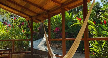 Beautiful room just 5 minutes from the Archaeological Zone of Palenque.