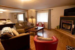 Televisión, chimenea, videojuegos, reproductor de DVD