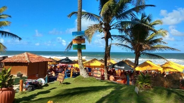 Zona de playa con palmeras, sombrillas y un cartel.