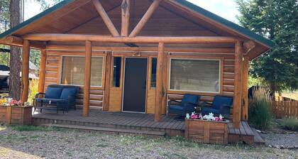 Charming 2-bedroom cabin with bonus loft, pet-friendly in Seeley Lake