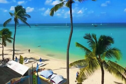 Grand Suite In Palm Beach 5mins Walk from Marriott Kitchen included 