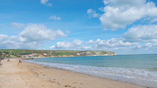 A beach with a sandy shore, a cliff in the background, and a clear sky. - Cockleshells - Modern apartment in Swanage (Swanage)