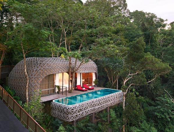 A treehouse with a pool, surrounded by dense forest.