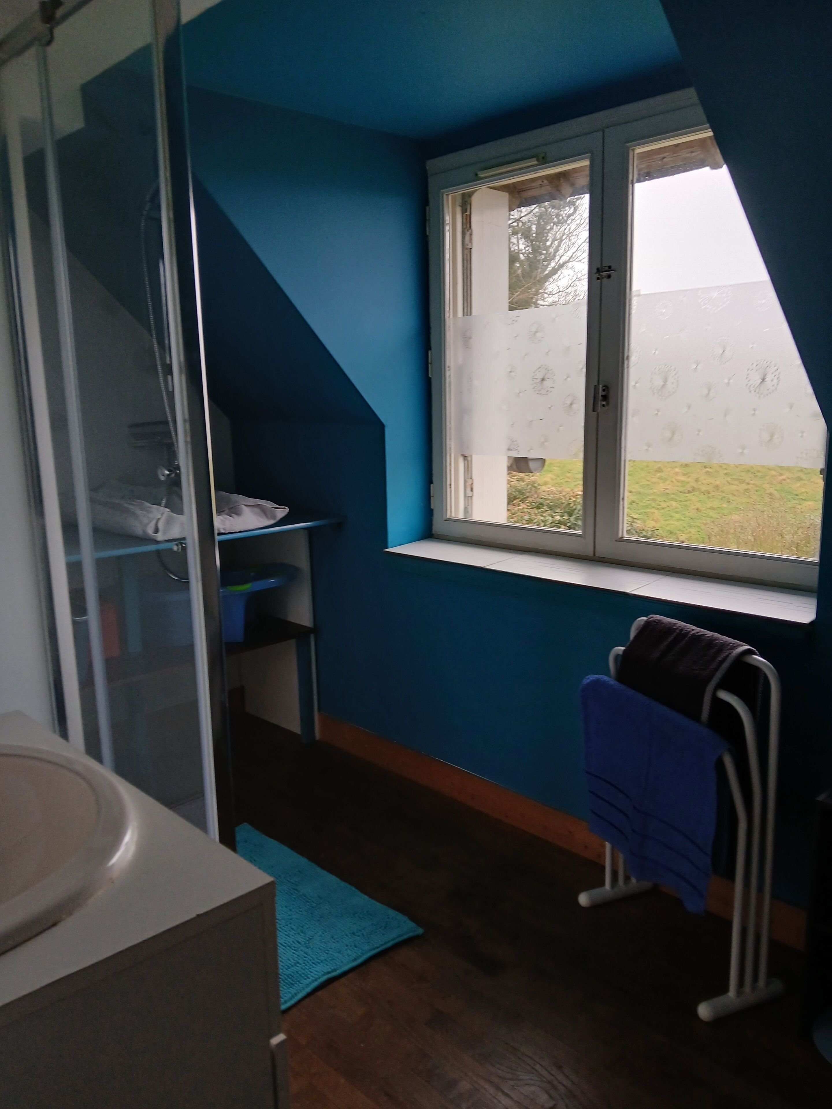 A bathroom with a shower, a sink, and a window.