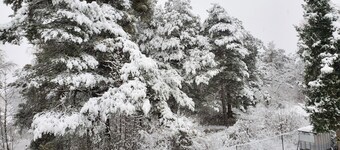 Apparently of 44m2 in Rez of garden located at 15km of the station of Orres 