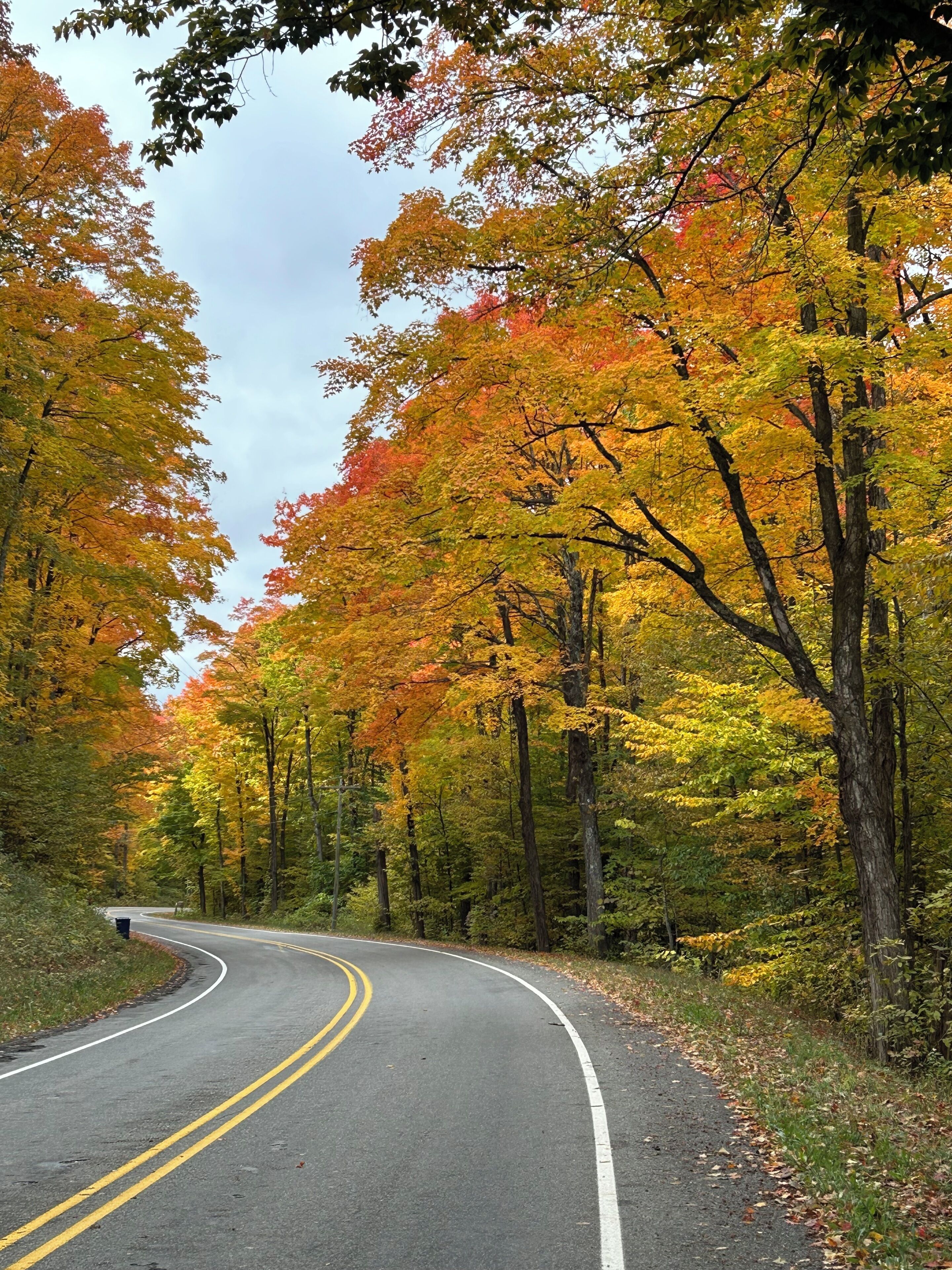 A winding road surrounded by trees with autumn foliage.
