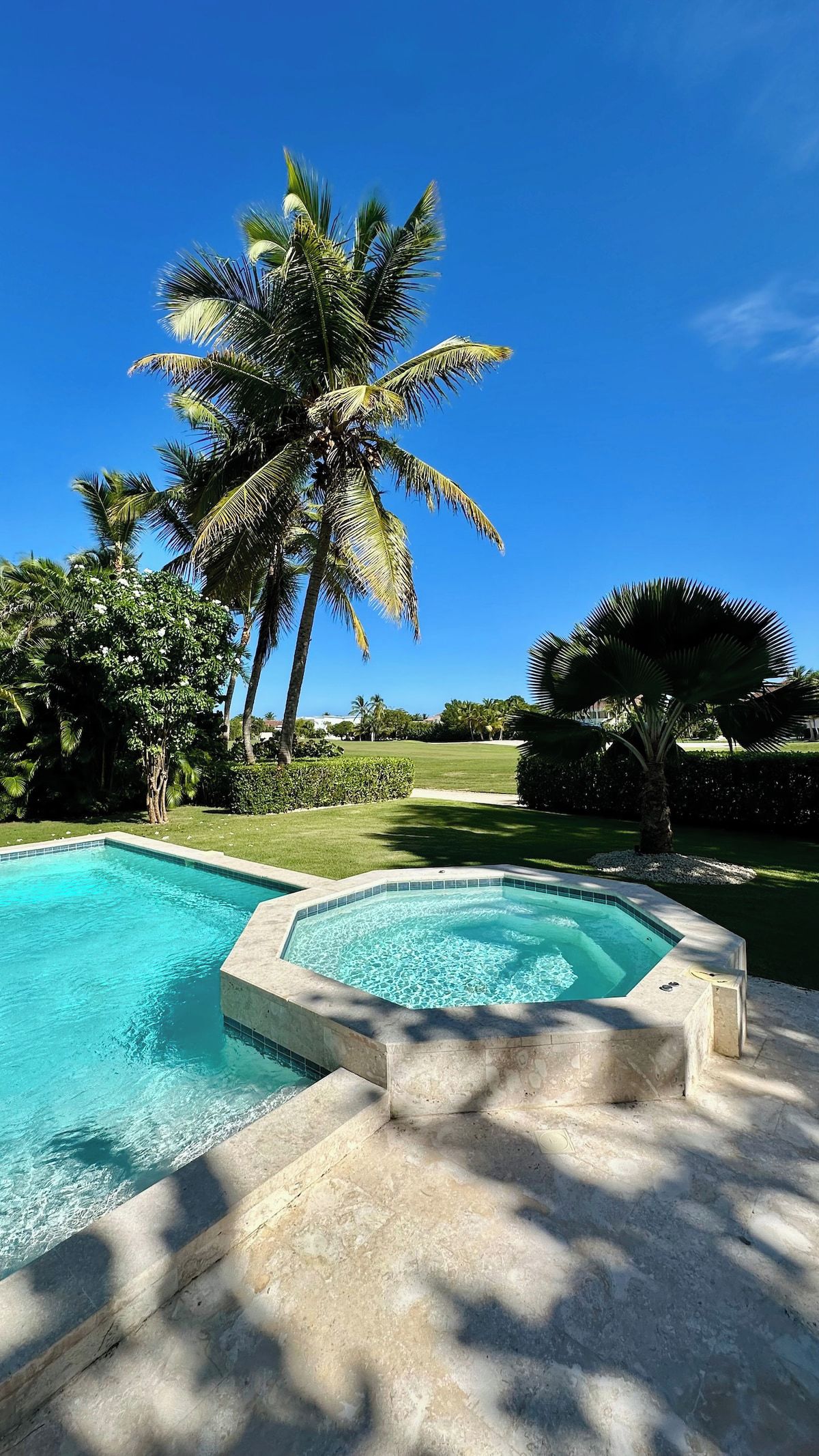 A swimming pool with a clear blue water, surrounded by palm trees and a well-maintained lawn.