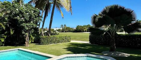 A swimming pool with a clear blue water, surrounded by palm trees and a well-maintained lawn.