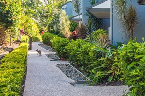 Property grounds - Sunset Waters 15 - Hamilton Island (Whitsundays)