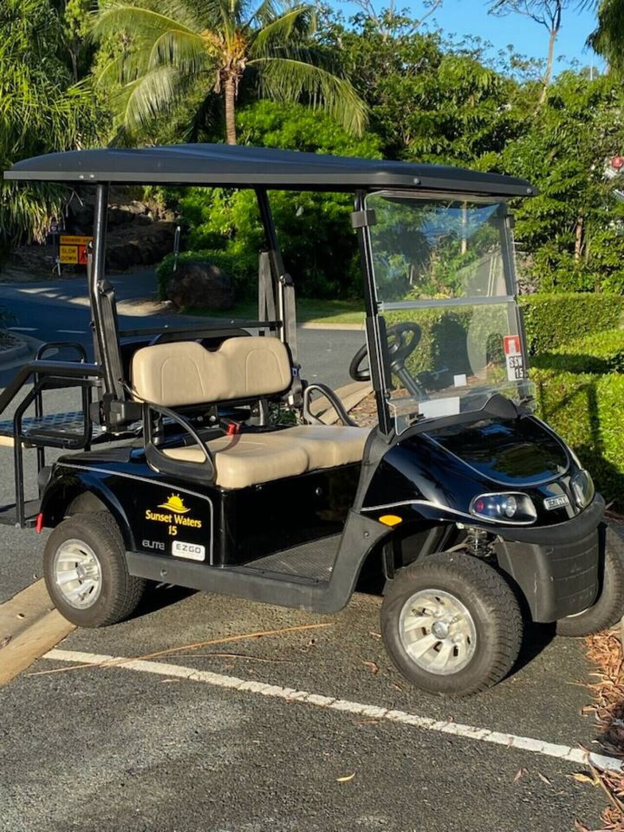 A golf cart parked on a road with greenery in the background.