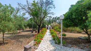 Terrein van de accommodatie