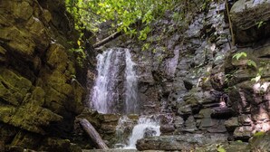 Een waterval die over rotsachtig terrein stroomt, met weelderige begroeiing erboven.