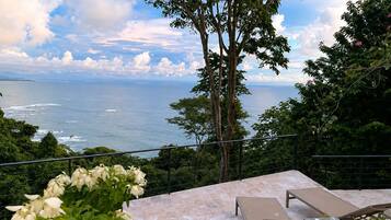A terrace with a view of the sea and a tree in the foreground.