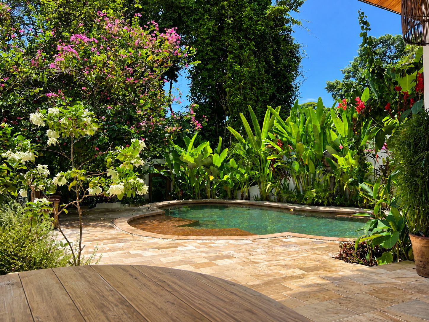 A swimming pool surrounded by lush greenery and a wooden deck.