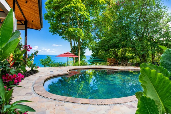 Un espace piscine à bords incurvés, entouré de plantes tropicales et offrant une vue sur l’océan.