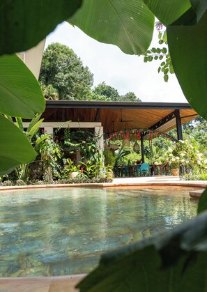 A pool area with a covered seating area and lush greenery.