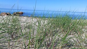 Une plage avec du sable et de l’herbe au premier plan, et un ciel bleu dégagé.