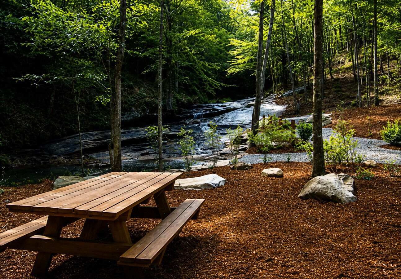 Une table de pique-nique située dans une zone boisée, près d’un ruisseau.