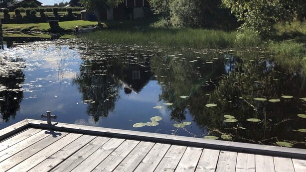 A wooden dock extending over a calm pond with lily pads, surrounded by lush greenery and a house in the background. - 6 Person Holiday Home in Venjan (Venjan)