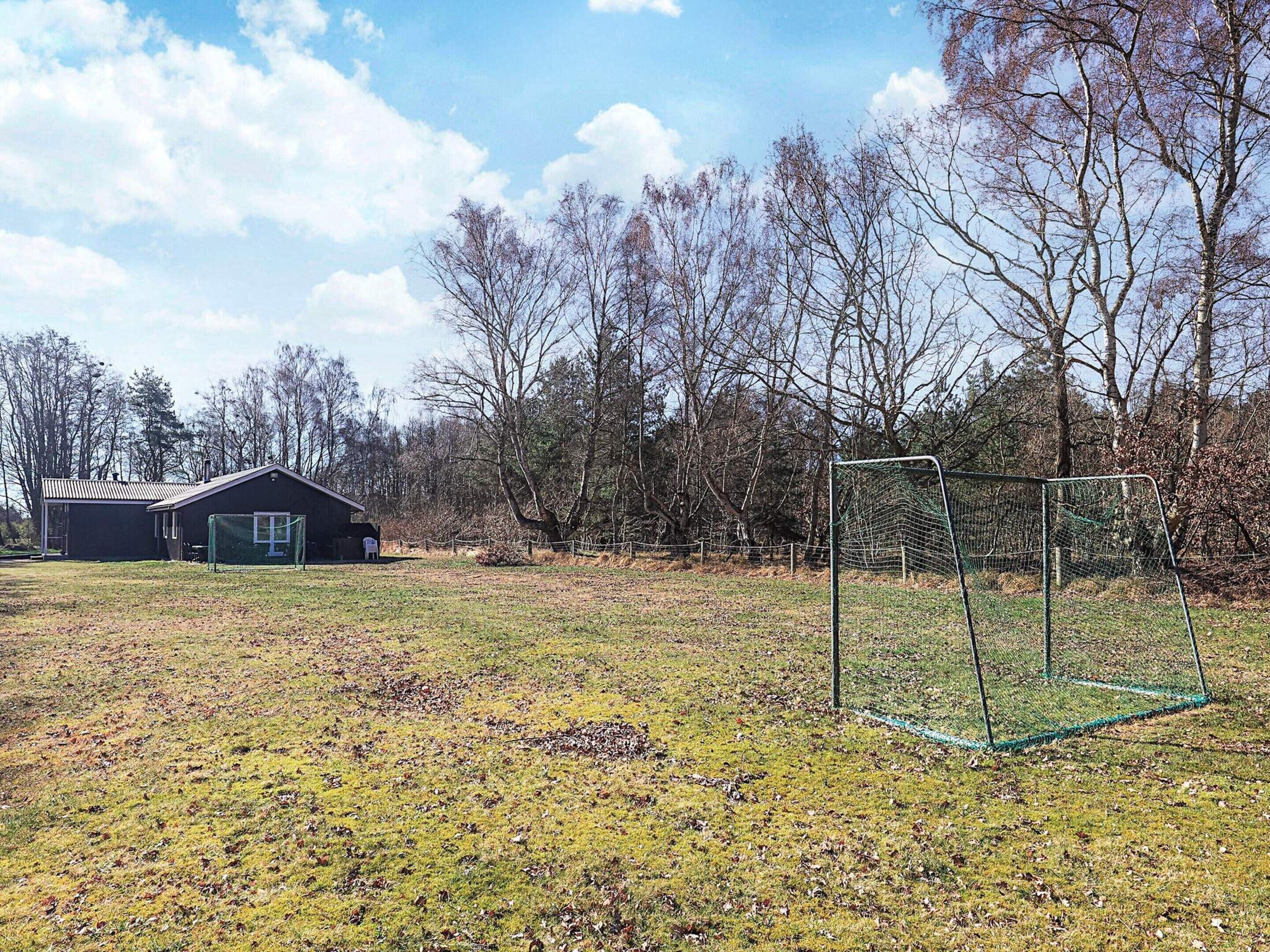 Een begraast veld met een voetbaldoel, een klein gebouw en kale bomen op de achtergrond.