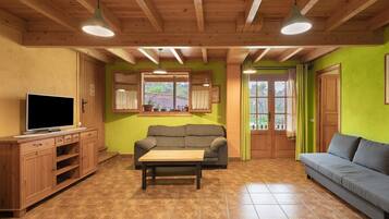 TV, fireplace, ping pong