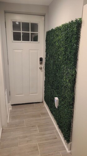 Cozy Basement Suite with Outdoor Oasis in NE Washington, DC!