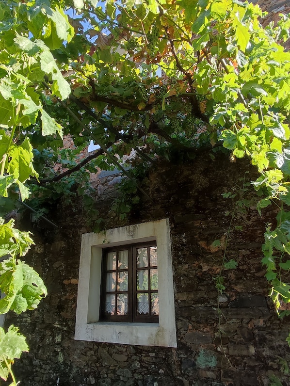 Detalle exterior