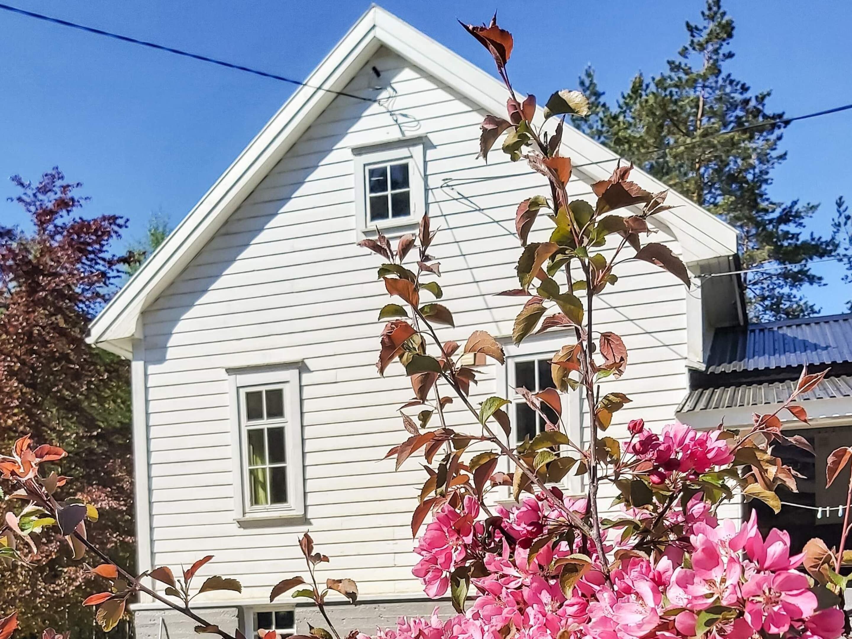 House | Property grounds