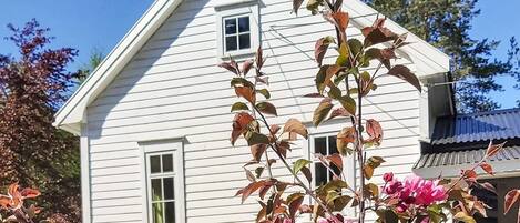 House | Property grounds