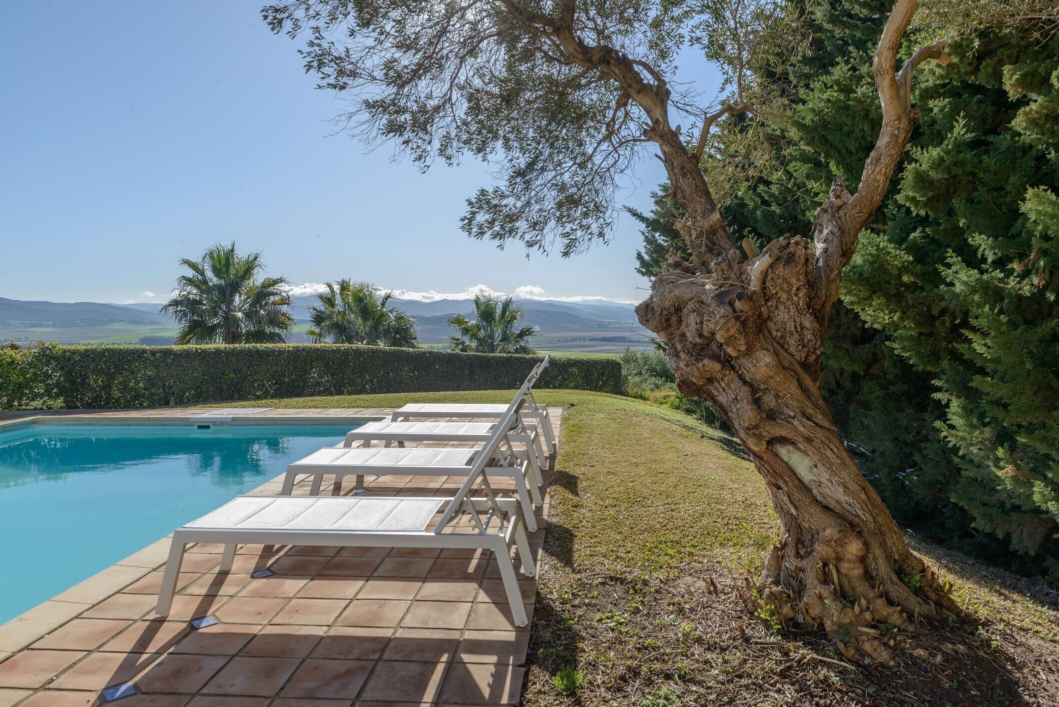 A swimming pool with lounge chairs, a large tree, and a view of distant mountains.