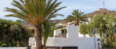 A white building with a balcony, palm trees, and a bench in front.