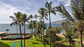 Condo Cao cấp, nhiều giường, quang cảnh biển, sát bãi biển | Quang cảnh vườn