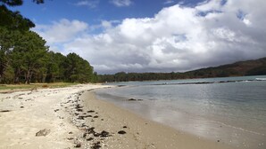 Una playa con cielos despejados, agua tranquila y un área boscosa al fondo.