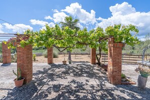 Viñedo con parras sostenidas por pilares de ladrillo, plantas en macetas y un cielo azul despejado.