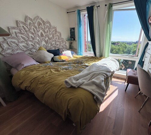 Luxury 2BR/2BA Penthouse w/ Stunning Views & Cat Companions