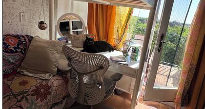 Luxury 2BR/2BA Penthouse w/ Stunning Views & Cat Companions