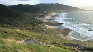 Eine Küstenlandschaft mit Strand, Grasland und bewaldeten Hügeln.