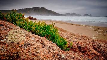 Playa en los alrededores