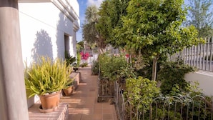 A narrow outdoor corridor with potted plants and a metal fence.