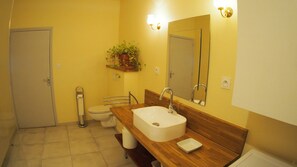 Regadera y secadora de cabello 