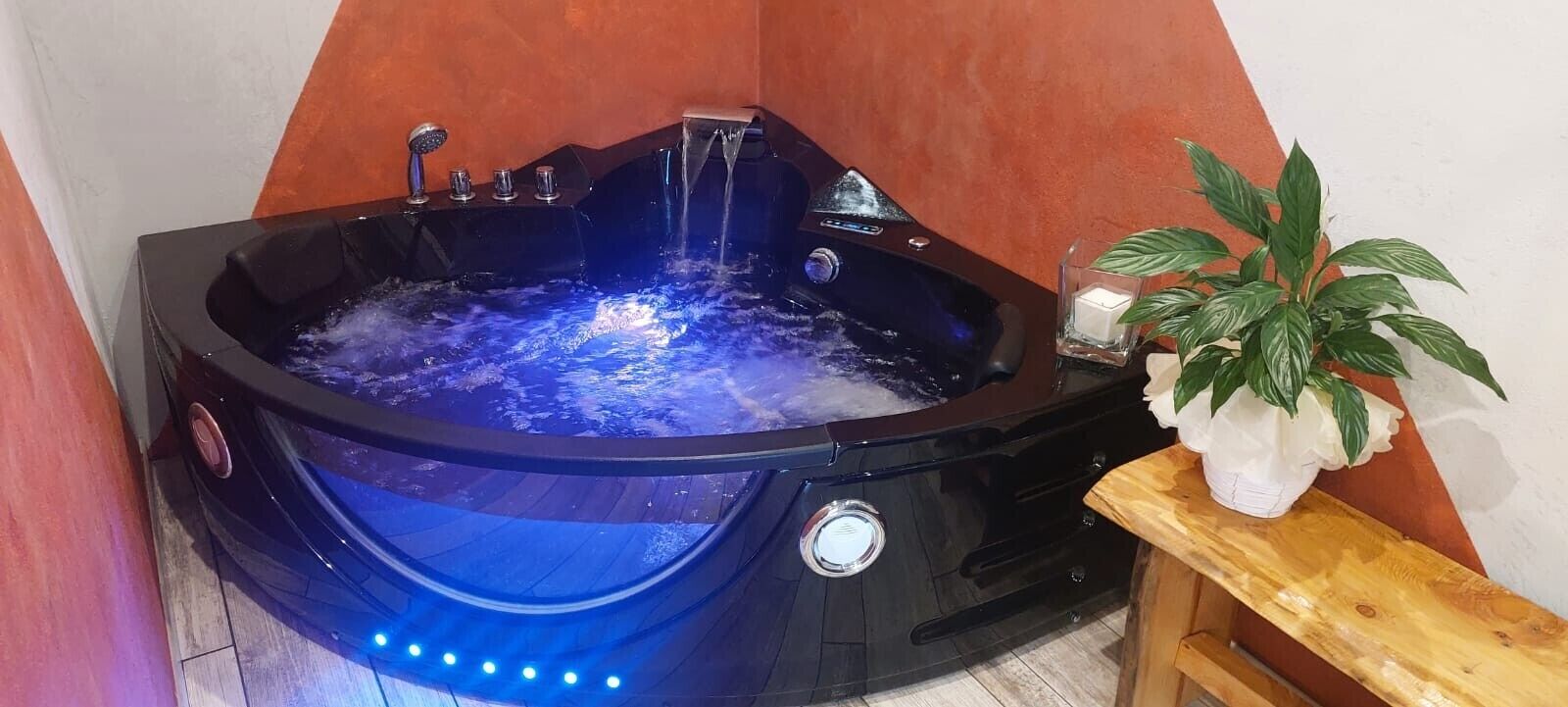 Wellness