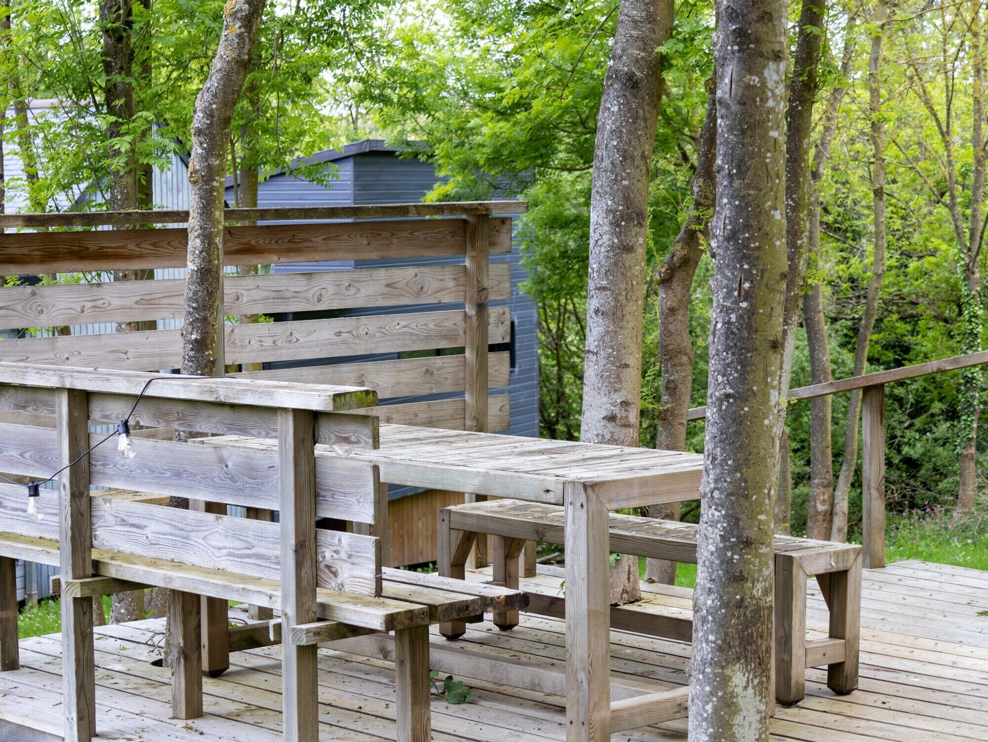 Una terraza de madera con bancos y mesas, rodeada de árboles.