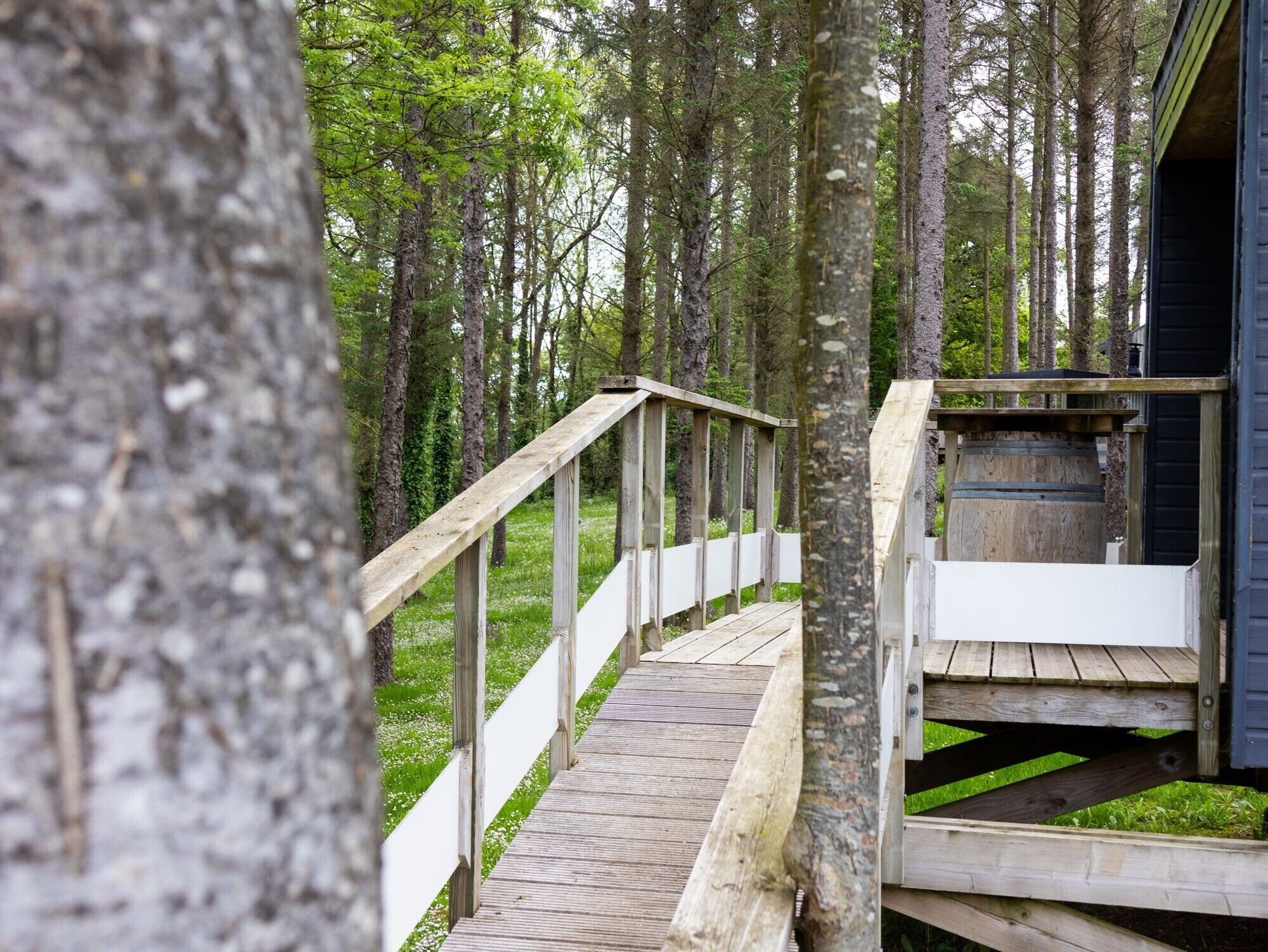 A wooden staircase leading to a cabin in a forest.