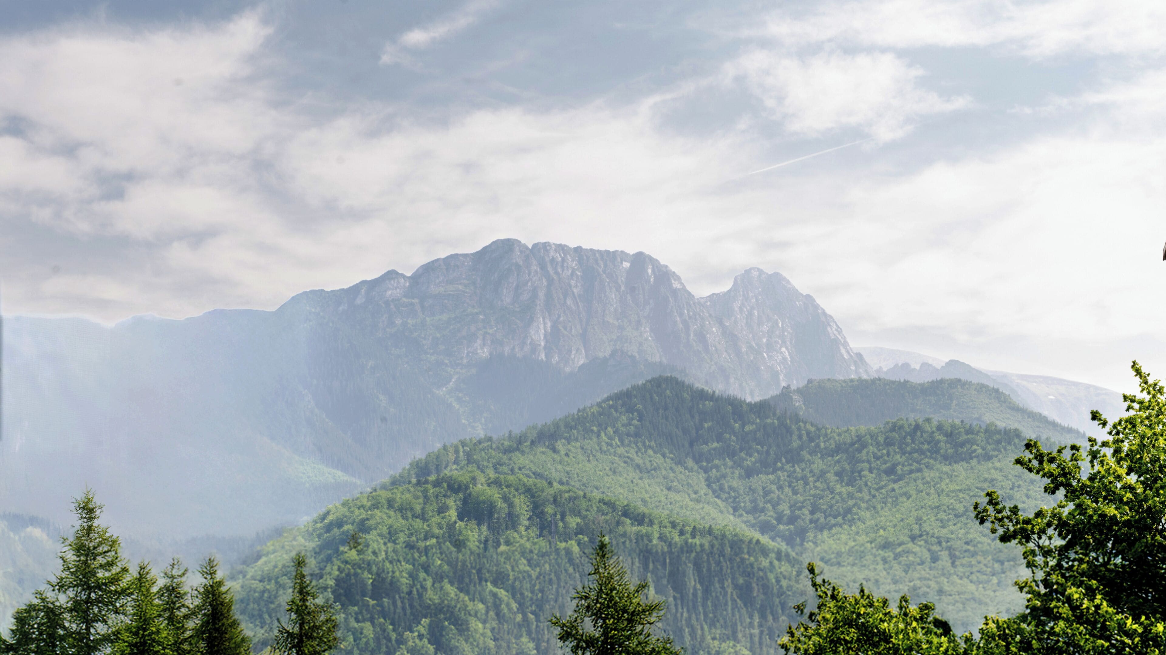 Foto - Hotel Rzemieślnik Zakopane