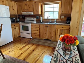 Microones, forn i placa de cuina 