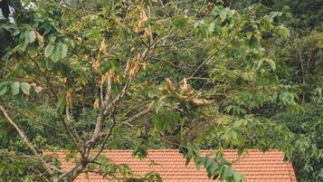 Kedap suara dan Wi-Fi gratis