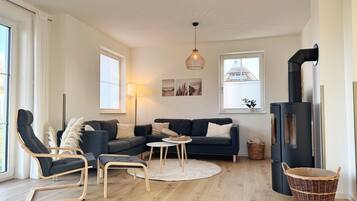 Televisión, chimenea y estéreo